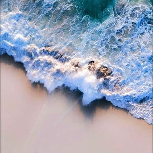 Meet your Posher, Ellie